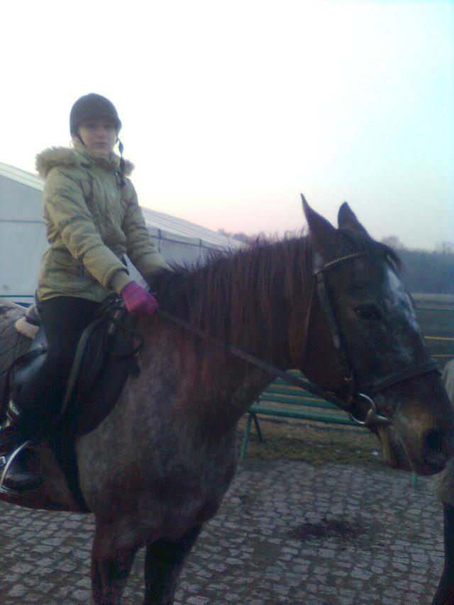 Lady 