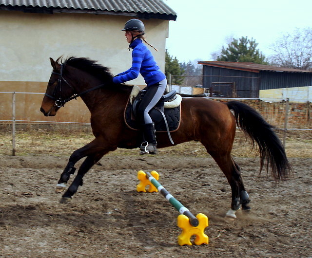 Albi ; **