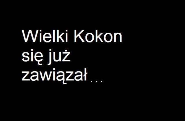 KOKON 2 