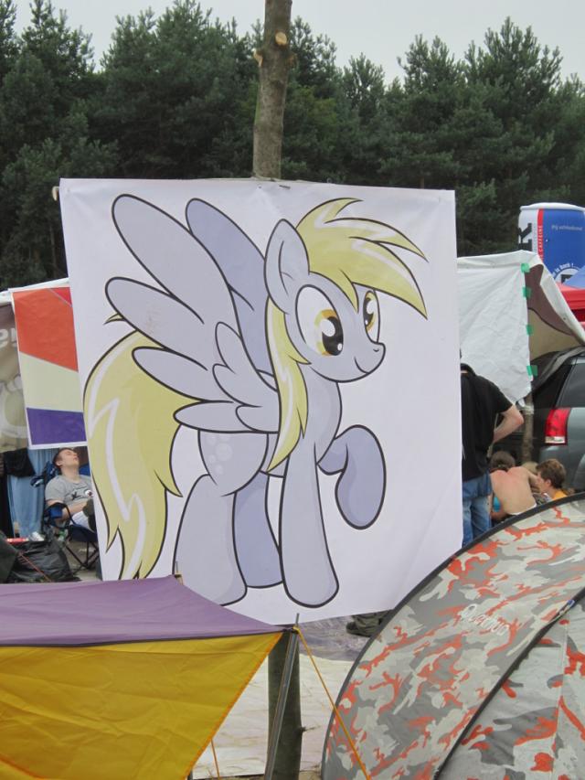 Pony !