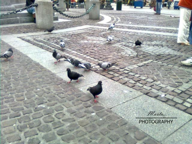 roda