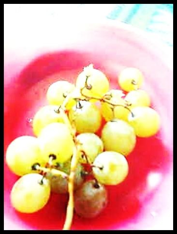 winooogroron :D