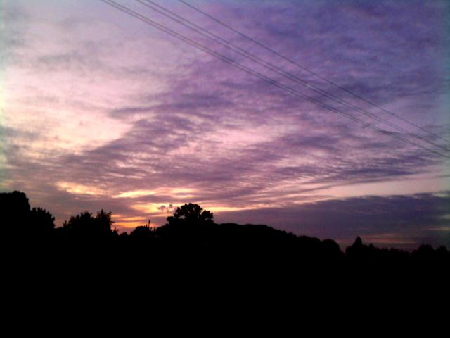 Wielgowo..