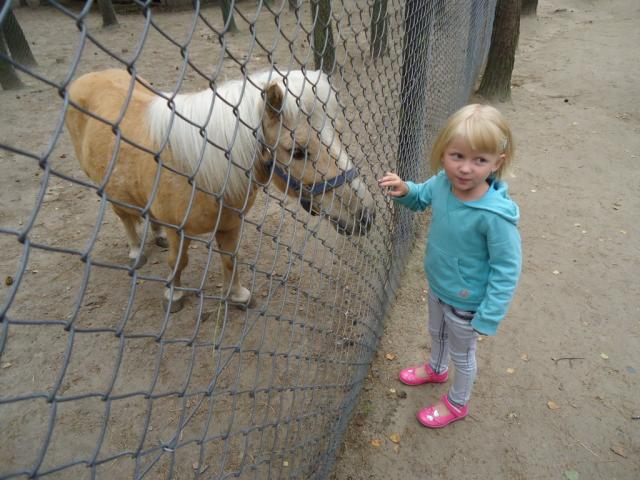 01.09.2011 Campol zoo