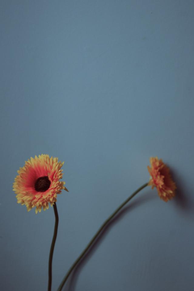 Wpis flowerbloom