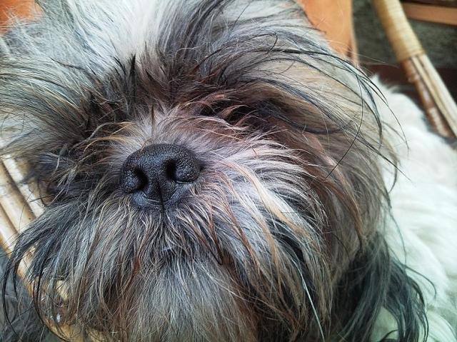 Oskar;-*