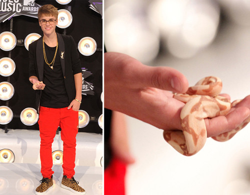 Wpis welovejustinbieber