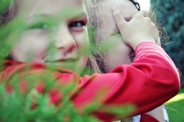 Wpis julkens