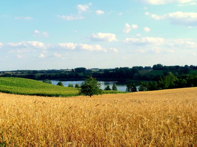 Obory 2011