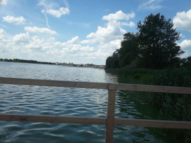 adne