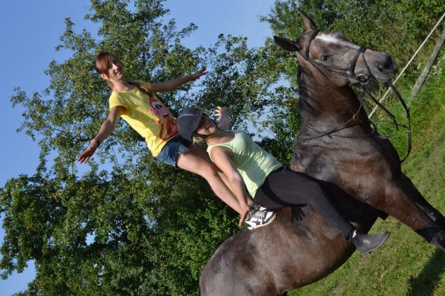 Wpis dreamsofhorses