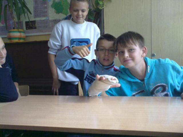 Koledzy 