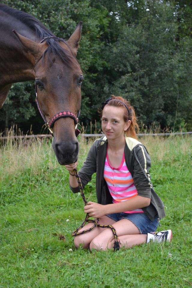 Wpis dreamsofhorses