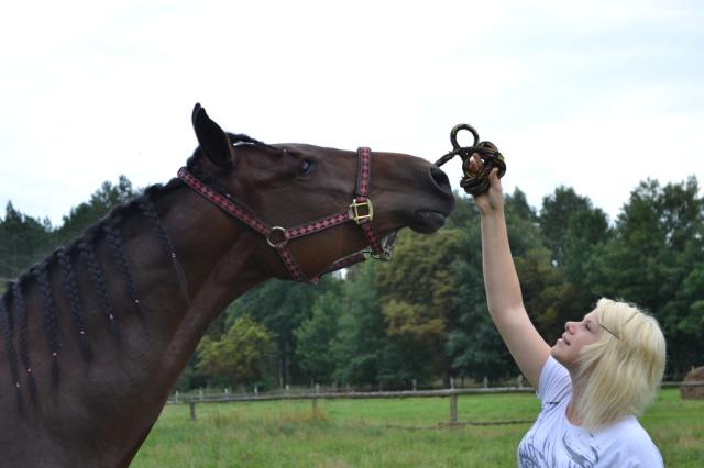 Wpis dreamsofhorses
