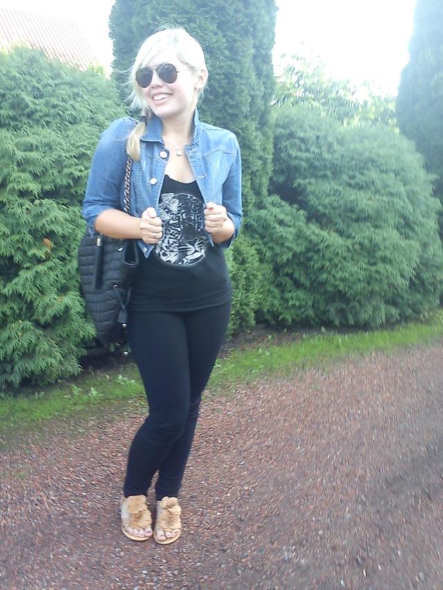 Wpis dajmizelka