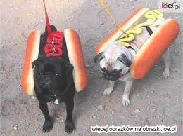 hot-dog 