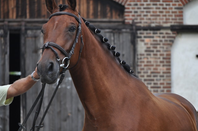 Milord