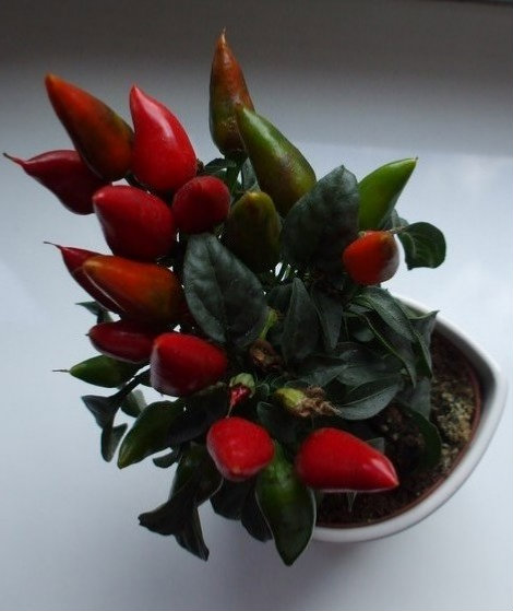 22 wrzenia 2011.