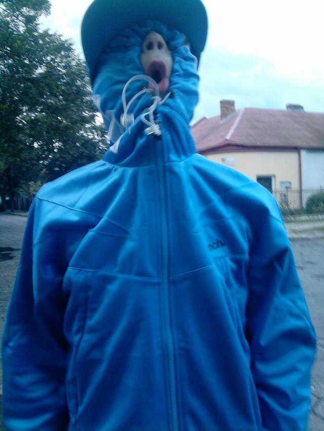 Wam ;D
