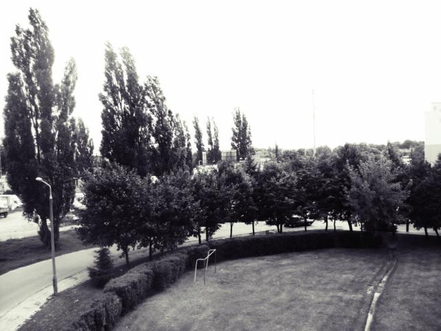 Wpis prawdepowiedziawszy