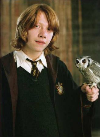 harry potter rozdzia 4