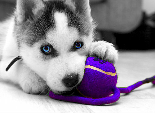 My baby^^