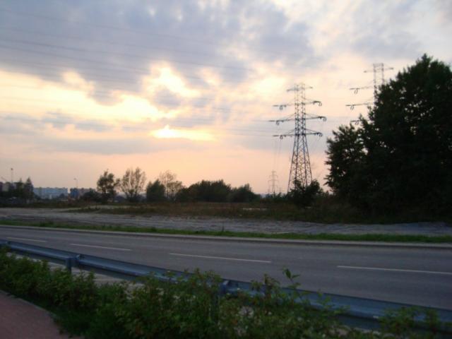 Wpis polapchelka
