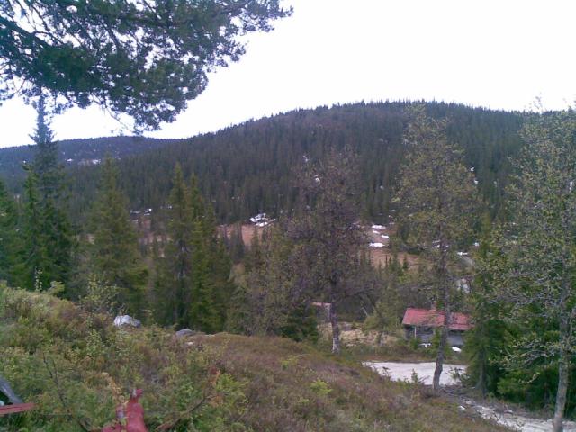 polnoc