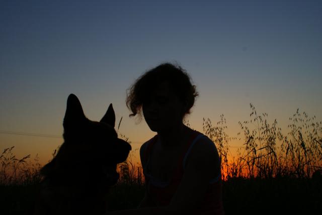 Wpis chien