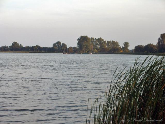 (57.) Koniec.