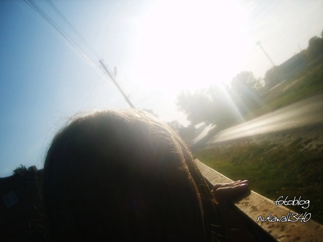 I like You !!!!!