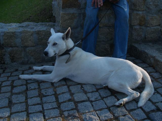 Ares