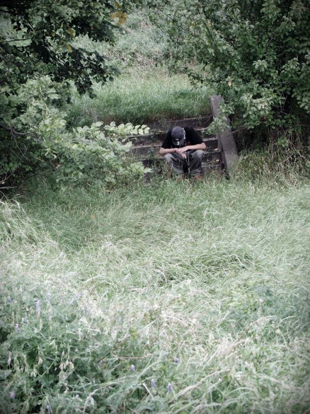 Sierpie 2011