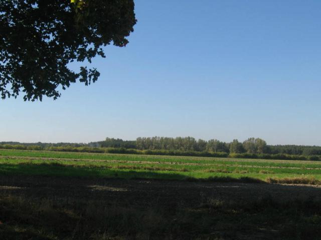 Wpis naturee987