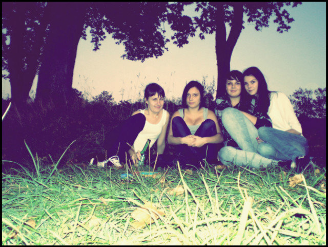 Wpis guska3