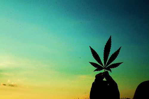live your life.