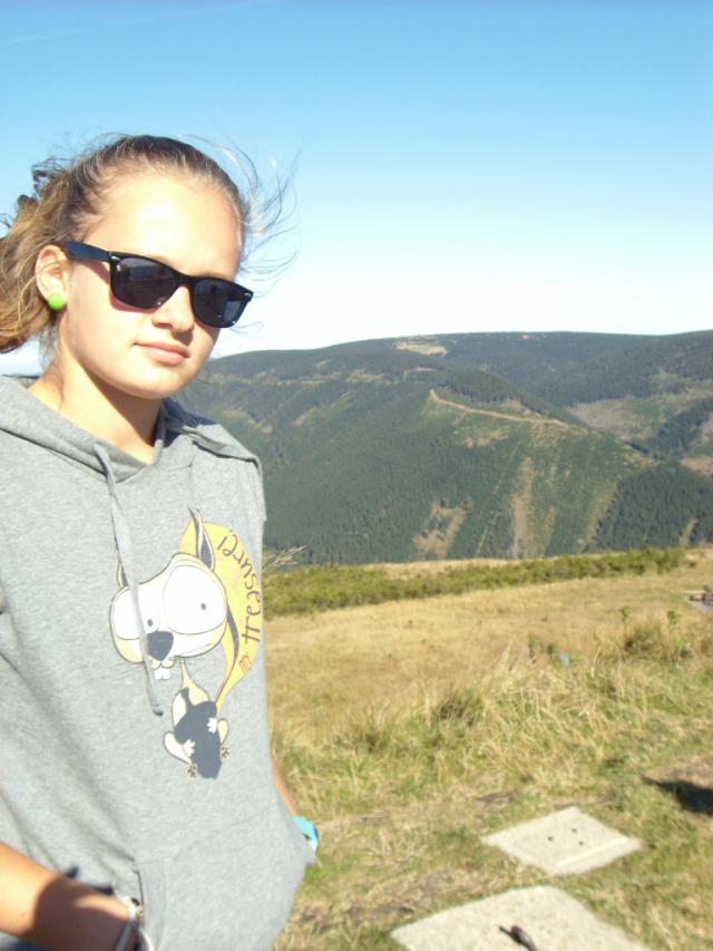 Czechy ; p
