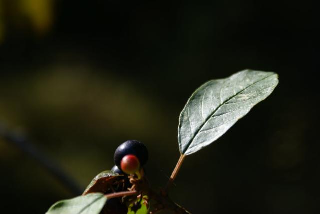 poprostu 