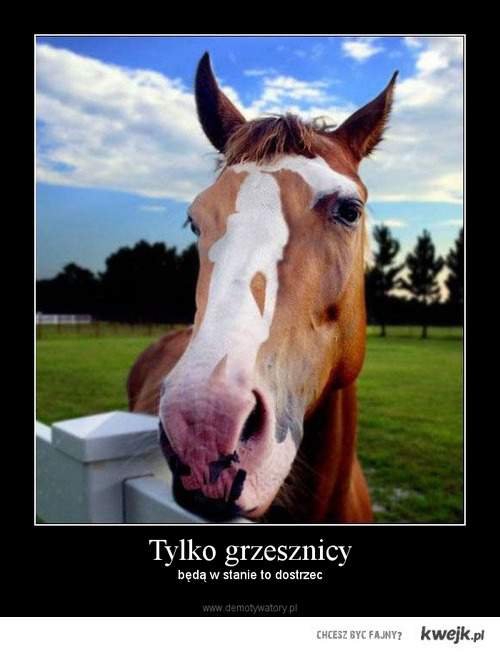 haha.