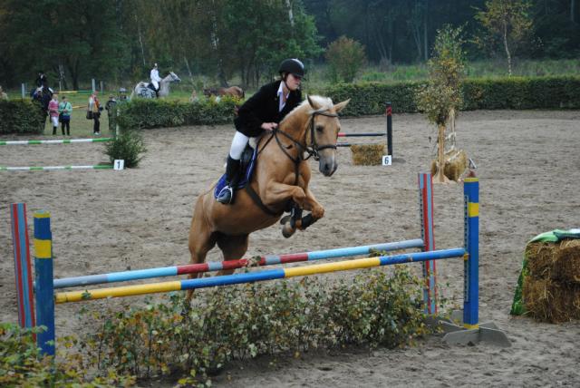 Wpis agnika