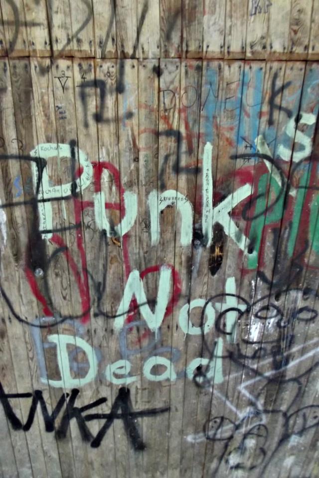 PUNK NOT DEAD 