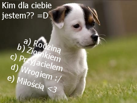 eeee 