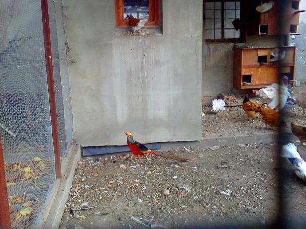 Baant 2 . :D