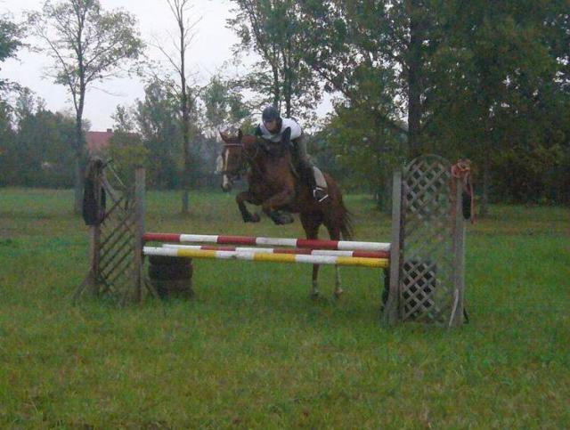 ruda