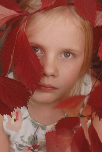 Wpis rysiak