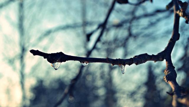 winter