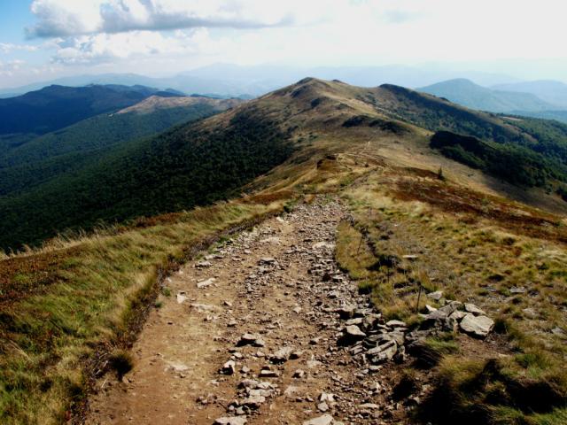 widok z Halicza