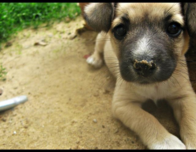 Wpis zabawazfotografia