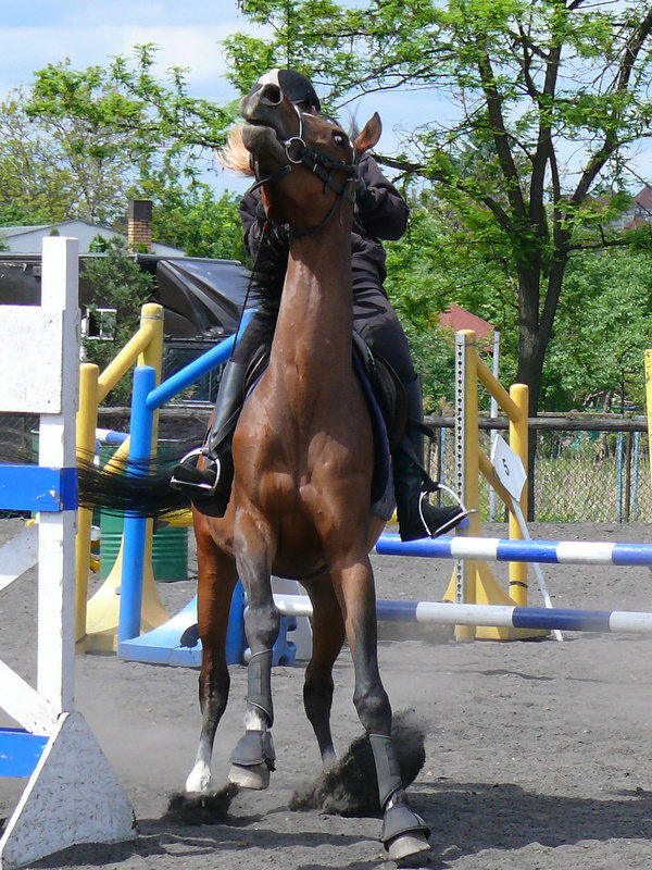 Obraona Emma. 