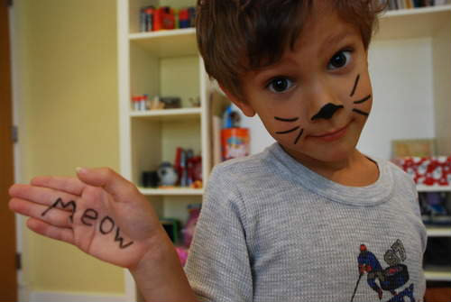 Miauu ,~!